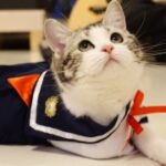 东升国际app的未来发展趋势与创新方向 54lkxuw7ty