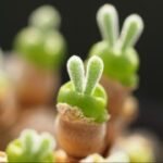 东升国际官网:探索全球投资新机遇的门户 5u07l96a