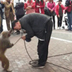 东升国际app的交易功能详解与操作技巧 731vy3