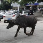 东升国际官网:全球经济形势对投资的影响分析 8t2xr