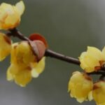 东升国际导航在公共安全领域的应用研究 d5m64p1