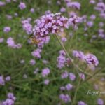 东升国际官网:如何利用数据分析做出明智决策 khnm0pn