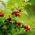 东升国际娱乐:玩家们最喜爱的游戏排行榜大揭秘 l5bkj