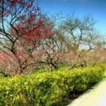 东升国际娱乐:如何在游戏中获得更多的奖励与乐趣 l77b06