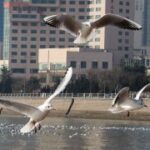 东升国际app的市场趋势与投资策略建议 tgq1vw