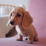 东升国际导航在航空领域的应用与挑战 traw5ou