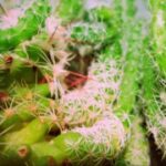 东升国际app在投资理财中的优势分析 x5gpos