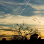 东升国际28的品牌建设与市场推广策略 xz6ecfby0